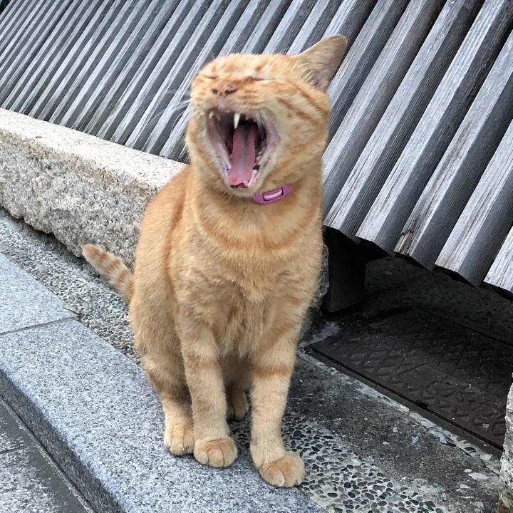 6018283f ec7c 4776 b88a bc22f1adc707 1630747602118