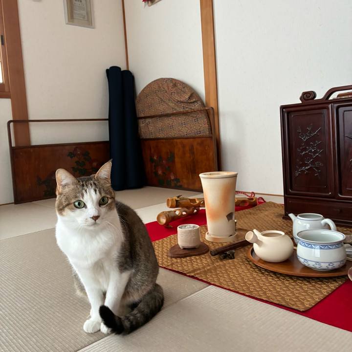 60183d7c 8f06 4b09 9dfc ae6ba9a5b798 1769159258945