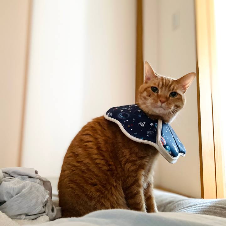 6018520c f7ea 4e72 9e7c 11b5546262b4 1744809103158