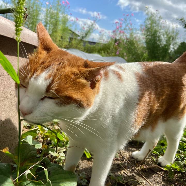 60185af1 4797 48c9 bdb6 cab3a30334c4 1601294534623