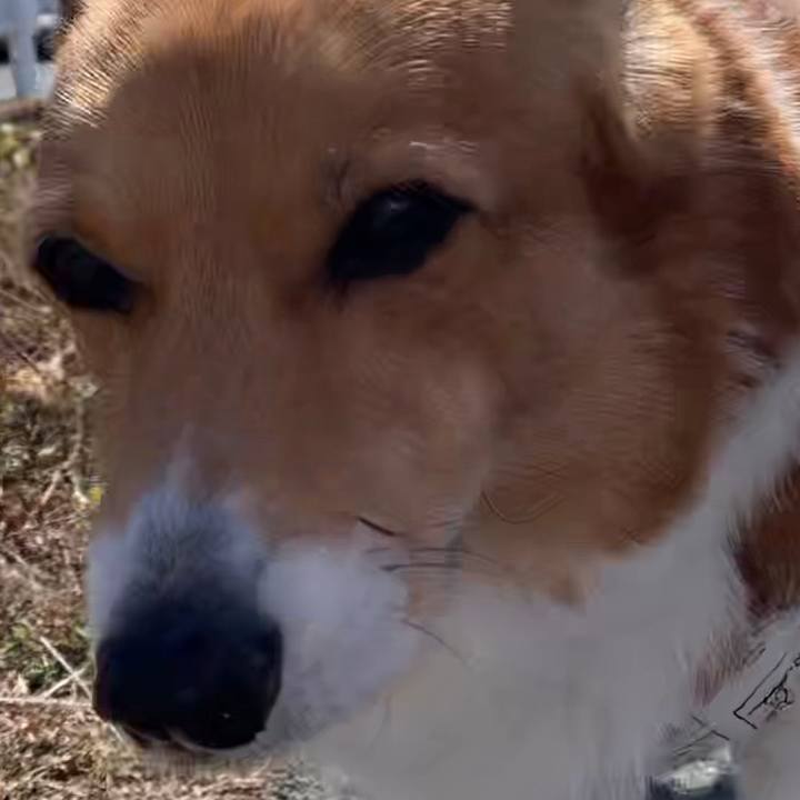 60186487 482a 4f4a a5a5 e7eb5d1bf5ff 1676441304225