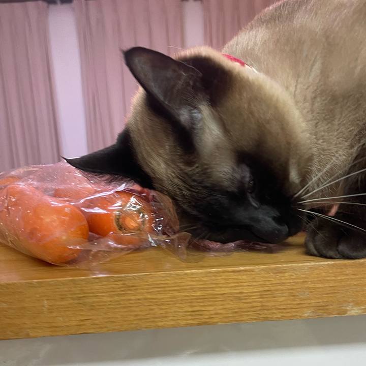 60186f39 0356 4cff 847b a5349f8b1bbf 1770755992857