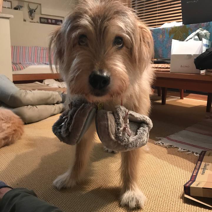 601879e8 5dbf 455b 9926 a12fabedee26 1571570280304