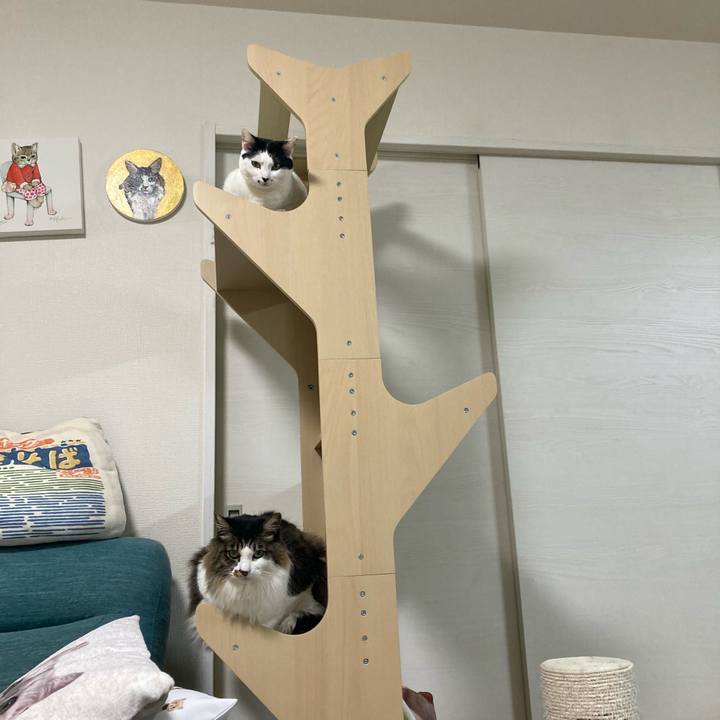 6018a6ff 4e3a 45f7 96b6 b11087a49f65 1769603515310