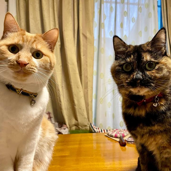 6018ac5b d294 4fcb b469 0a5a1b870491 1765718296418