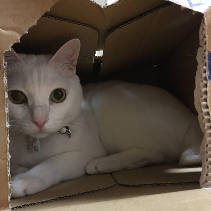 6018b17c 9e5f 499a ba40 efafb66eb662 1515851418281