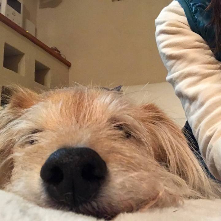 60191736 2f96 4ddd 9b7c 4ab83ba89268 1584789661260