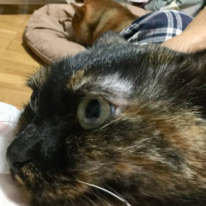 6019229d e9ea 46b2 8ddc 415e191625b5 1573122890954