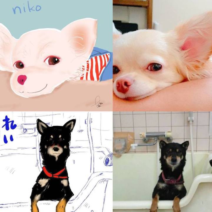 60192a7d 8079 499b 984d 1231e4530755 1653133126519