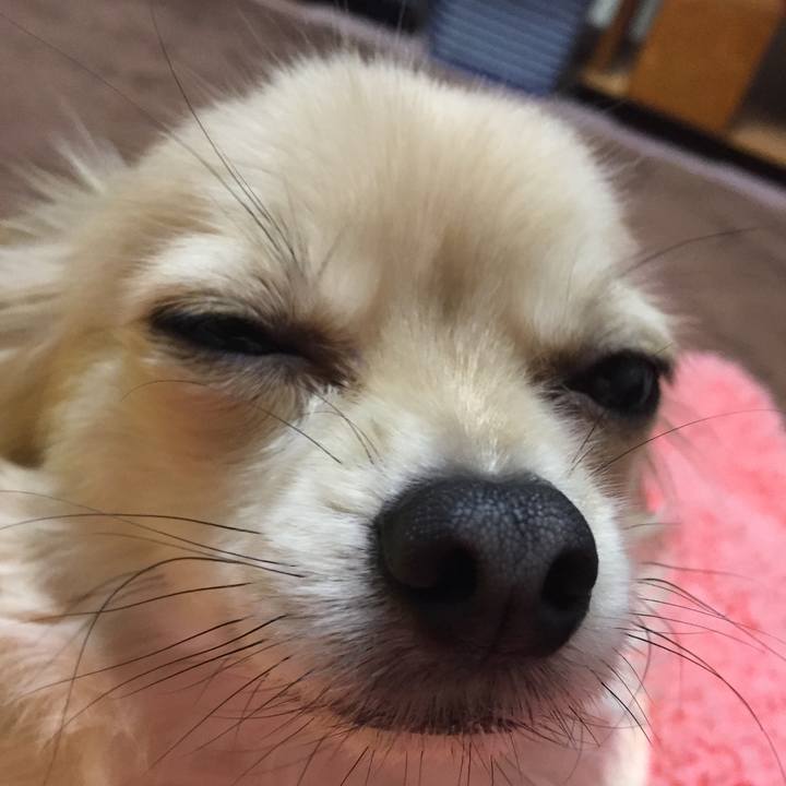 601935ca f5ac 4c9f 9c5d 5cd258afadc6 1544738928917