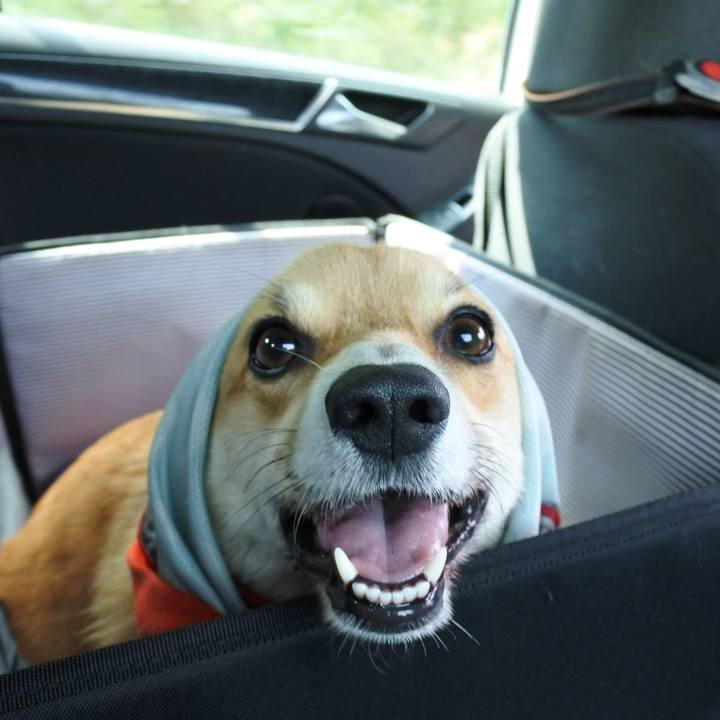 60195427 ee93 4218 8e79 ad71326f810d 1534862412907