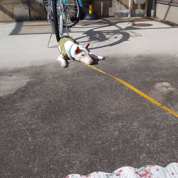 601964a1 3044 4f47 bd07 3fea870ec713 1540429534246