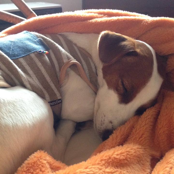 6019a5c3 383e 4de3 b960 dea5b52e310a 1518867033061