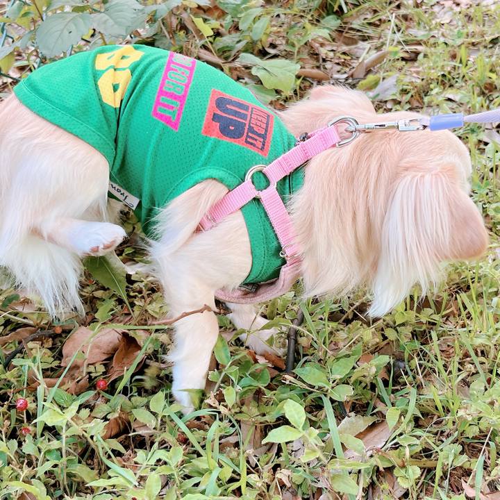 6019d853 a59d 4aeb bd80 e9e545fb5529 1653737159922