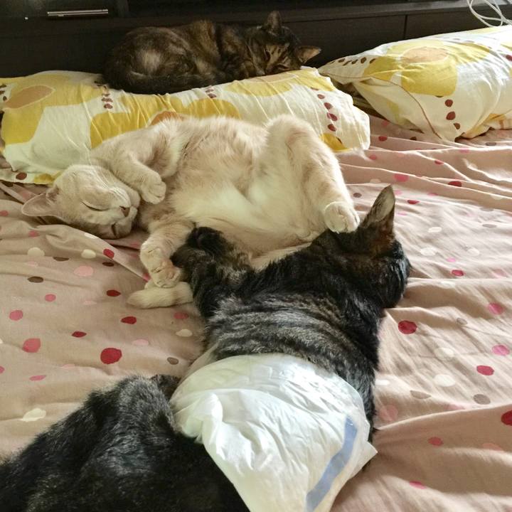 601a13f8 e68e 413b a155 c32ede8e776b 1535169385180