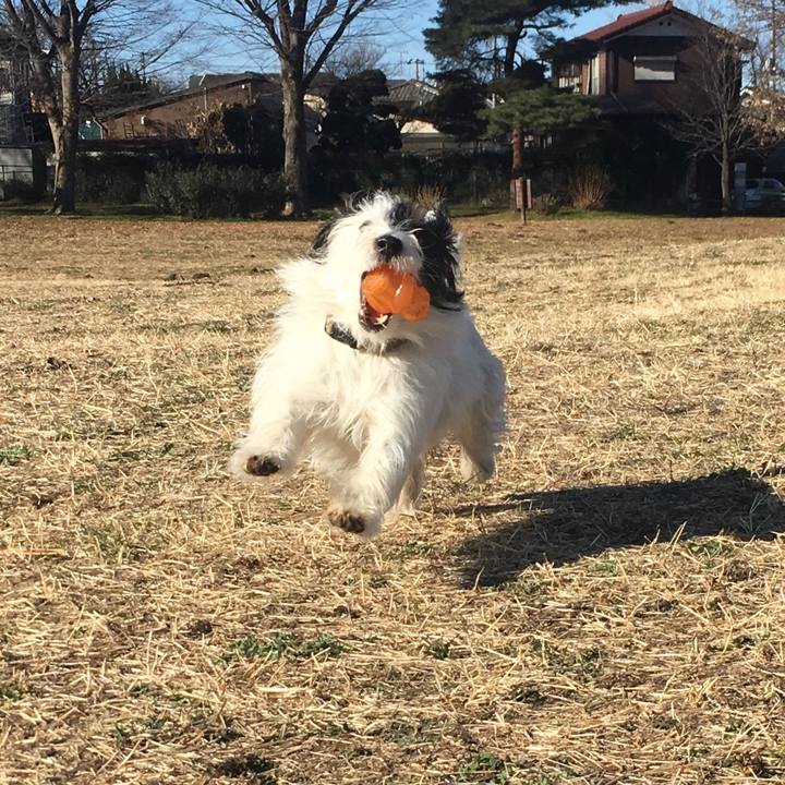 601a1917 f788 4a70 a440 e8710e294aa2 1514515443298