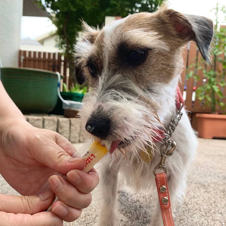 601a1b1c 5c53 4030 88d6 a3c8dbd77c95 1594553127143