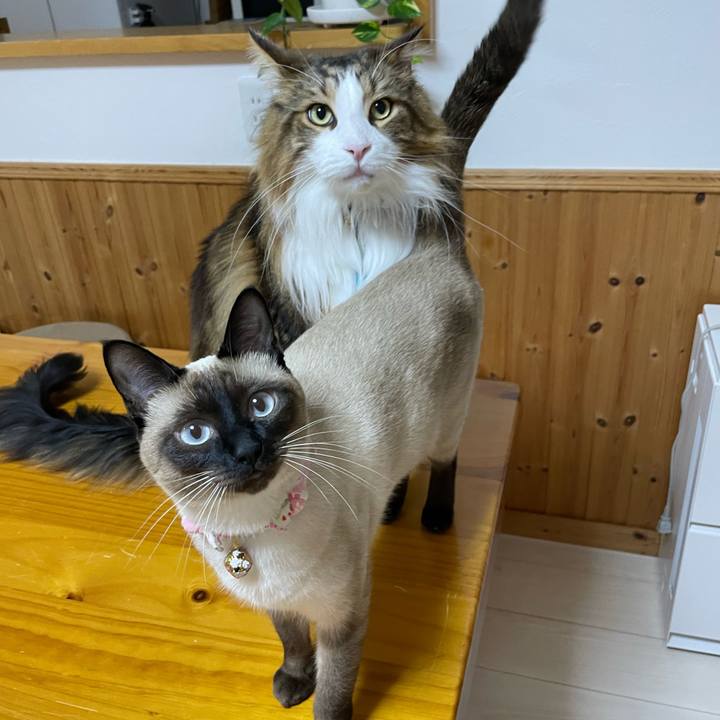 601ac343 7699 45e1 9dd5 4cdbb768eada 1714505341046