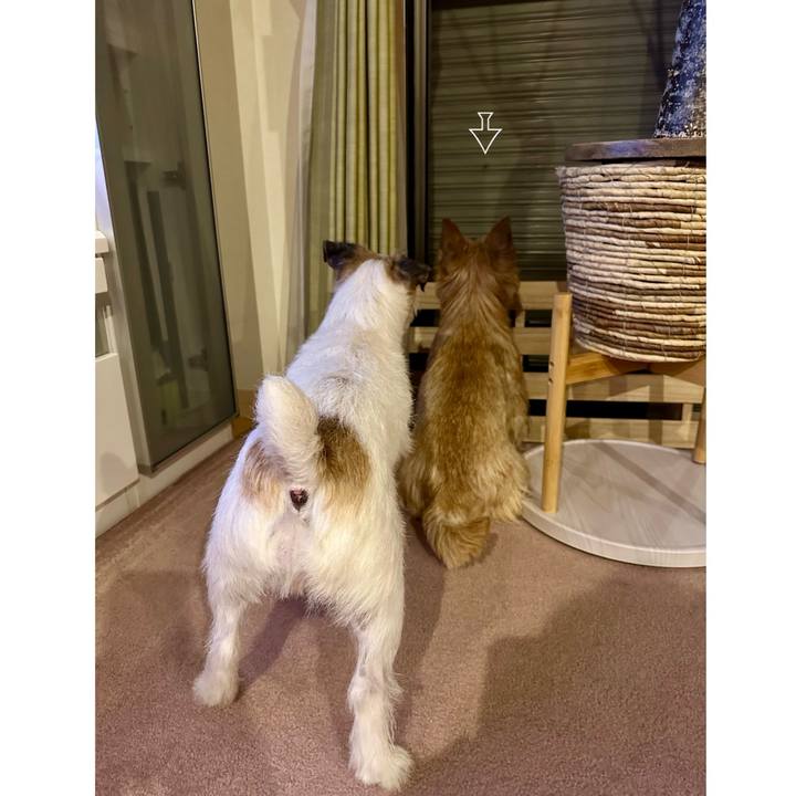 601ac571 6ea6 4e29 86e5 35282041252e 1749046213510