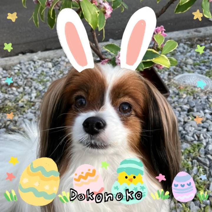 601b4ad6 67d7 4862 b8eb be2f15d68673 1712234116755