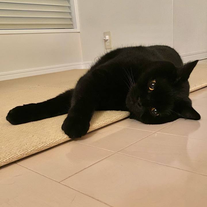 601b5e34 d54b 4675 aaac 9e60d933c6e0 1662975183931