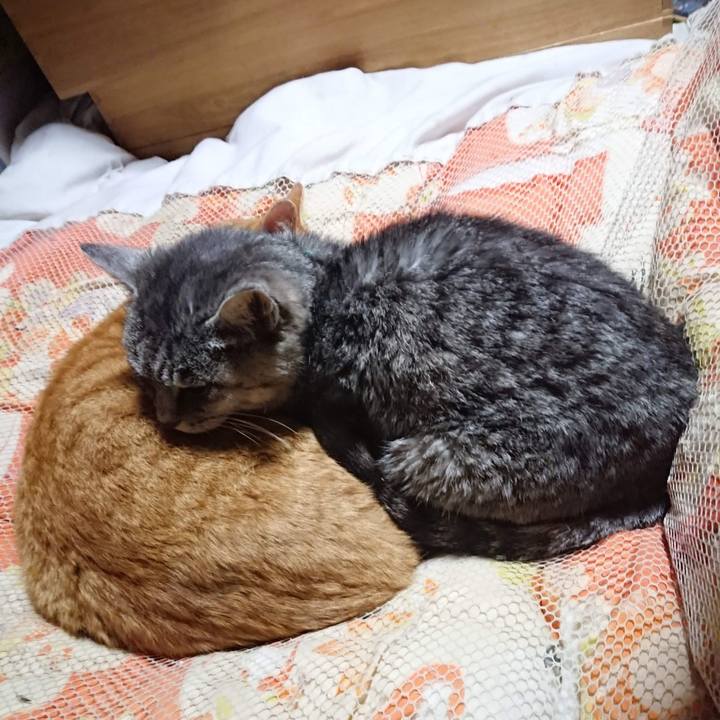 601b6dfc dd2e 41cc 80d4 b50f6c1965cd 1605875328251