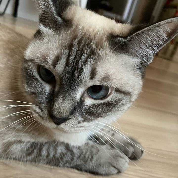 601b8117 ac32 403b 9d7b 99073ff44462 1690955520330