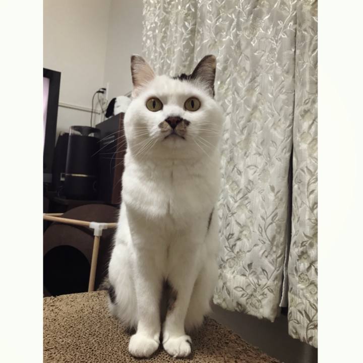 601be07d 1a0a 4299 9cd0 1cfbc16b6317 1584501093886