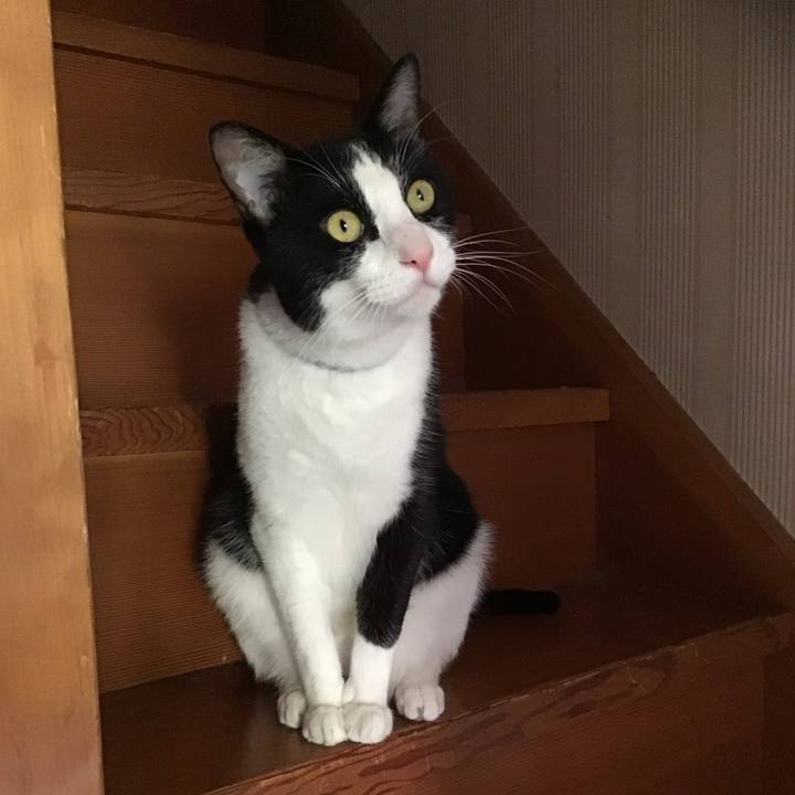 601be95a 7efa 43e0 ba87 14681c9a6cdc 1688388290326