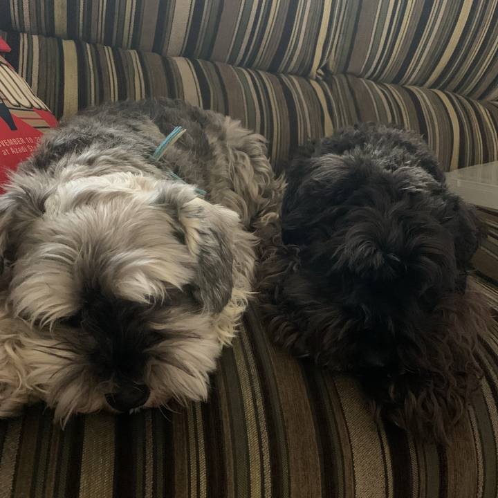 601bff09 2657 407d a77a ab8b95294d2a 1590823852314