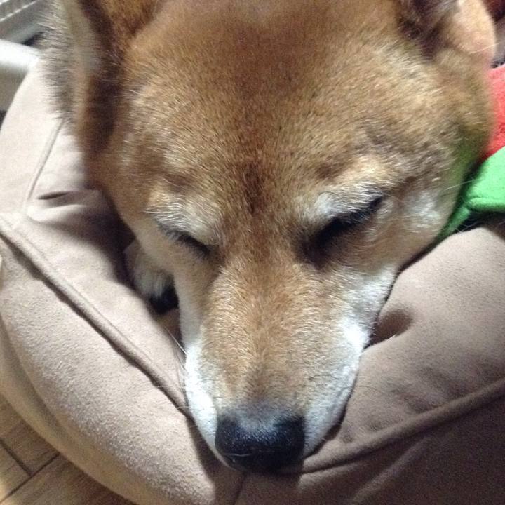 601c2f6b c5fc 4a2c 8703 fd8498362418 1513330573152