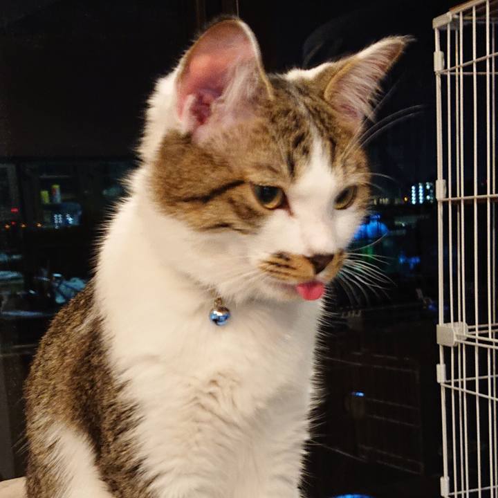 601c37bc 3f6a 43e9 947b 4944bdf78519 1558276797738