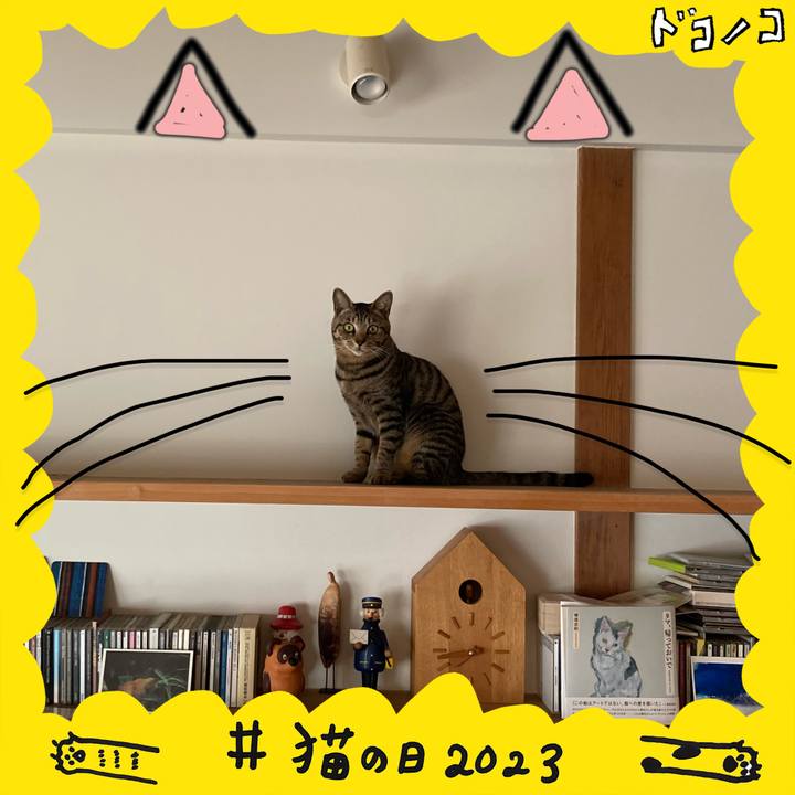 601c55c2 e13f 41ea b4df 839ffec27260 1677020267425