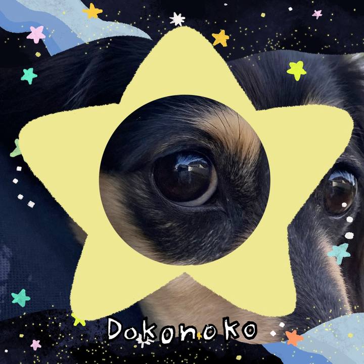 601c6548 f66e 4bbe bedb 14b7445daf95 1720959636249