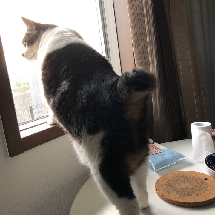 601c7f33 f168 499c b1ec 102ebf820c1e 1656753929582