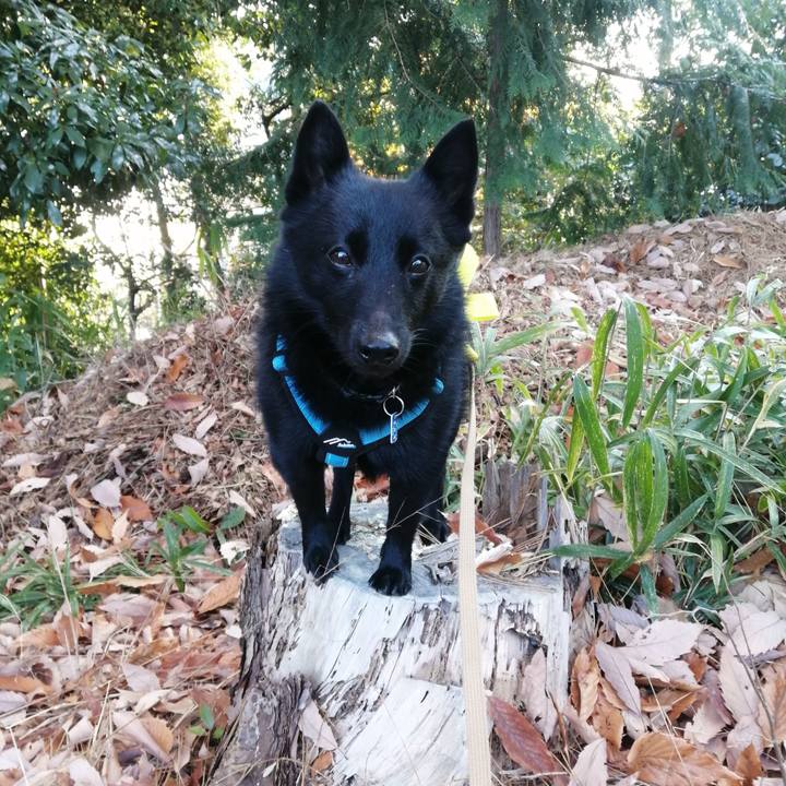 601cbd66 809a 4f42 b73a 267615735320 1641600178677