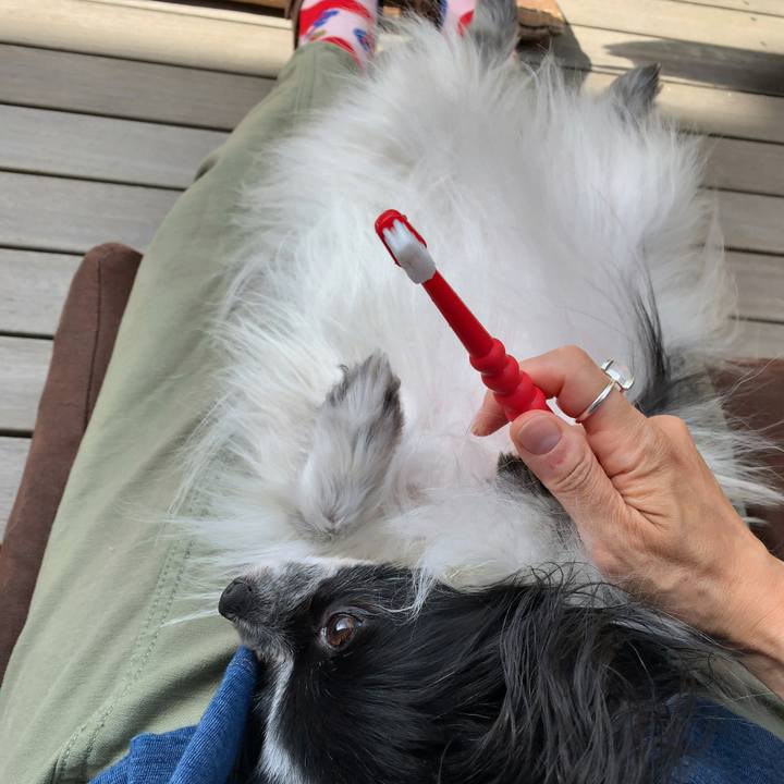 601d6ab8 8e7b 4345 8d2a c18f145ac3a8 1560727167766