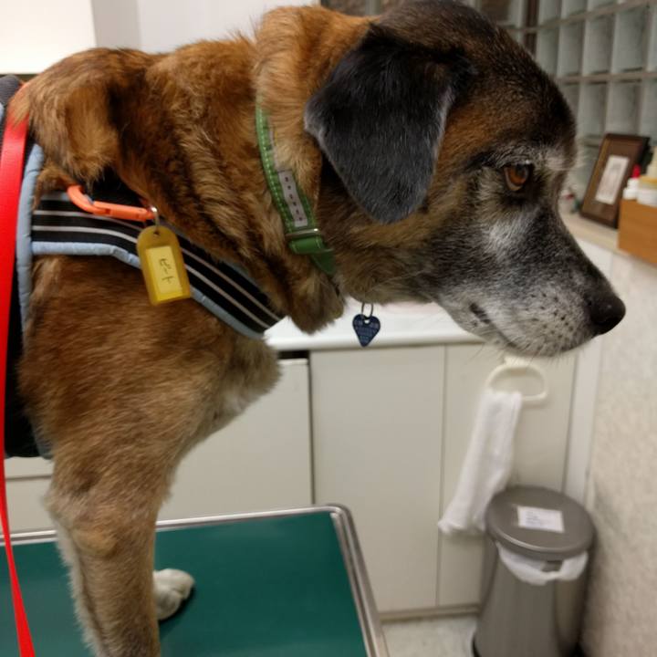 601d91e5 69e4 4f4d 9541 a3c1d3209715 1540645978219