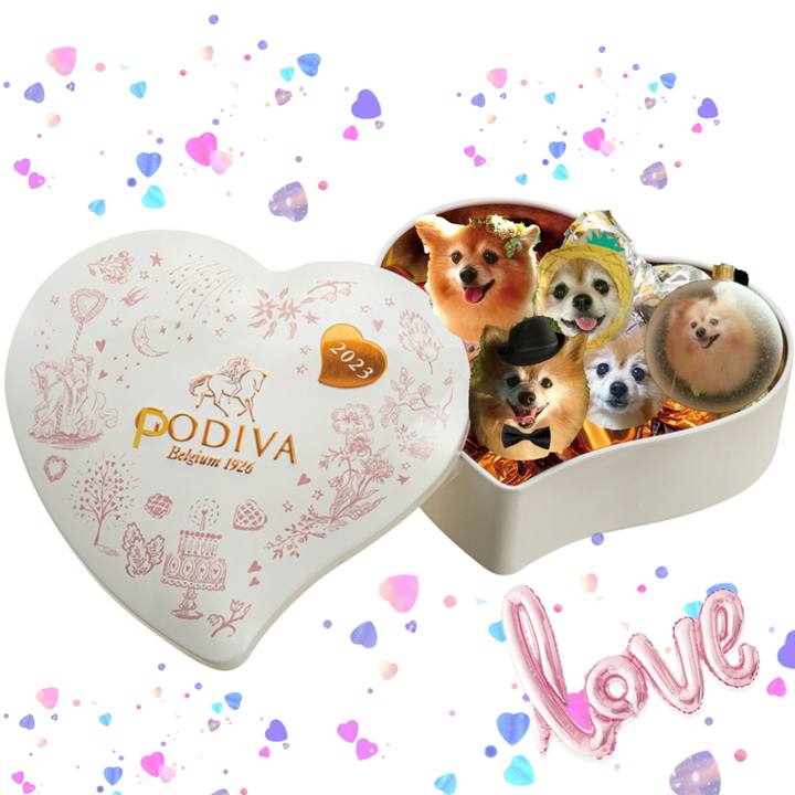 601d9502 910b 4670 8b60 534704b18394 1676327805383