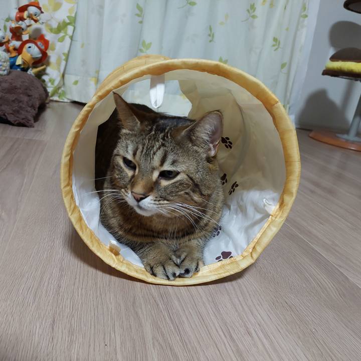 601daa17 a9bd 4a3d 944a 424884416ad6 1639313758286