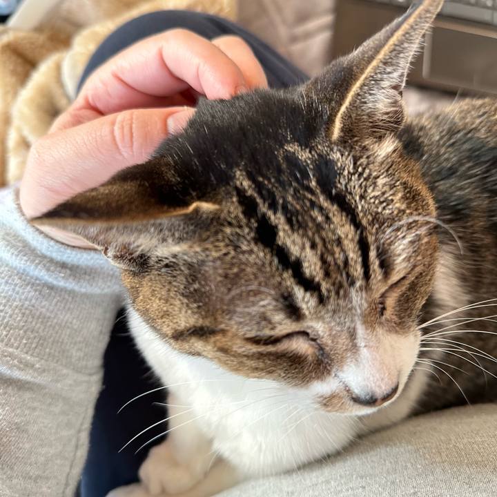 601dac85 028c 488c a8fc 1d47291e3ce1 1672540821679