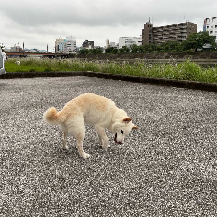 601e096b 2446 4241 bb05 4bfc76e833a6 1655645737197