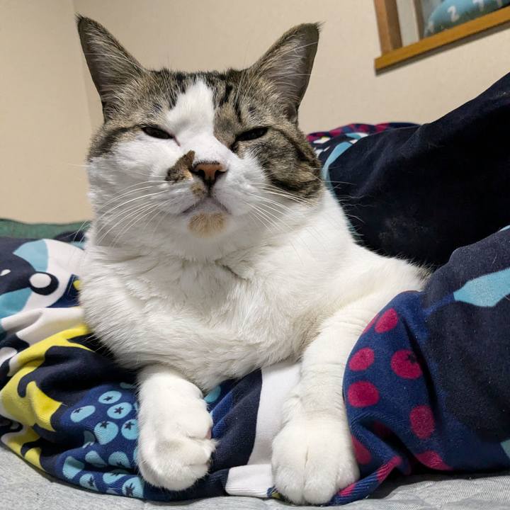 601e8a52 0f21 4501 a2e8 d3a3171c3d9c 1734212400749