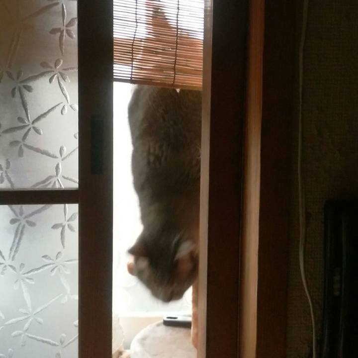 601e8e51 49a7 4d4f b924 d3dbbcf6c31a 1589781616318