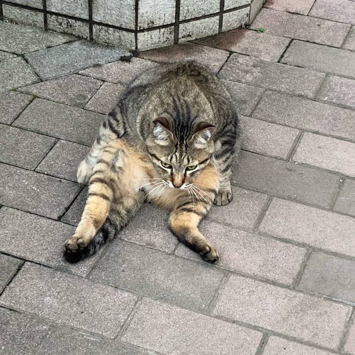 601eb86c a391 4c55 a0a5 2bf3f6945873 1529318250838