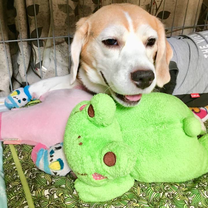 601ebf27 6983 4e68 8936 66996e912977 1566184981487