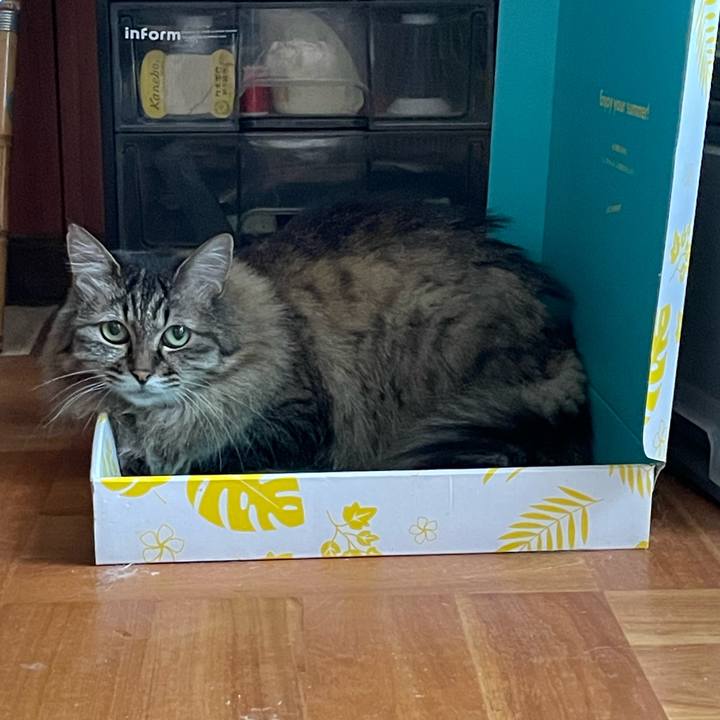 601ed132 4d86 4a75 aeac e2898fa0f88d 1753938018519