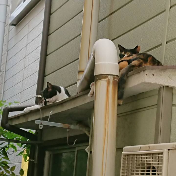 601ed67a 0593 49b8 b002 dfec819bc48c 1567214950011