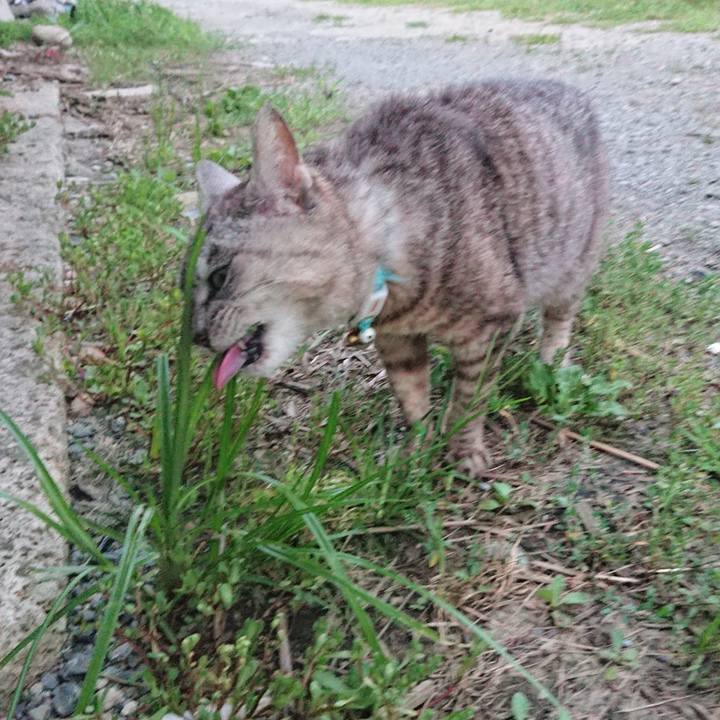 601f49c5 a69e 4709 9096 26e9d001c33b 1564481247222