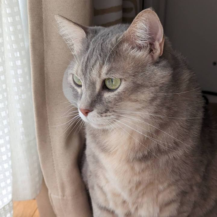 601f72f1 fabd 4e23 a15b 09096801249e 1709092095209